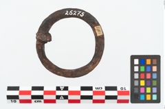 Foto von Eisenring (NHMW-PRAE-026275)